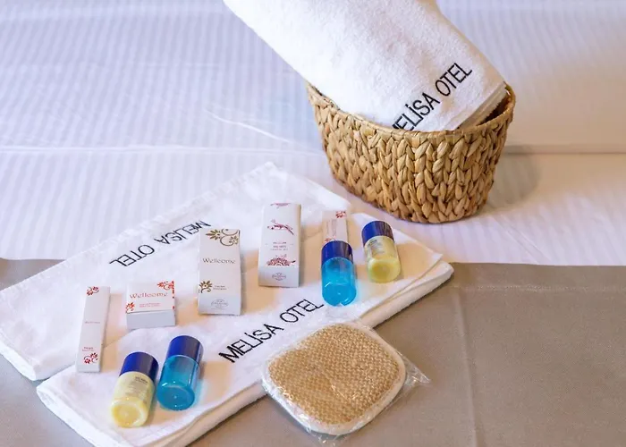 Hotel Melisa Boutique & *