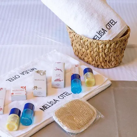 ホテル Melisa Boutique & *